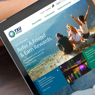 using TXU Energy website